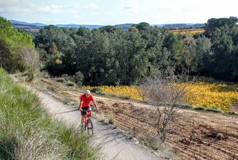 Welke routes verdienen fiets en wandelroute van het jaar 2017?