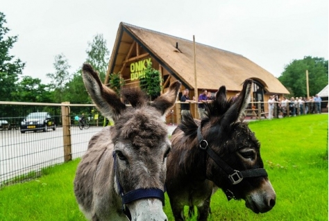 Zorg en dierentuin gecombineerd in Onky Donky huis