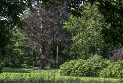 Recreatiepark Hof ter Borght gaat open