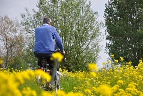 Video. Fietshistorie in beeld bij oudste recreatieve fietspad