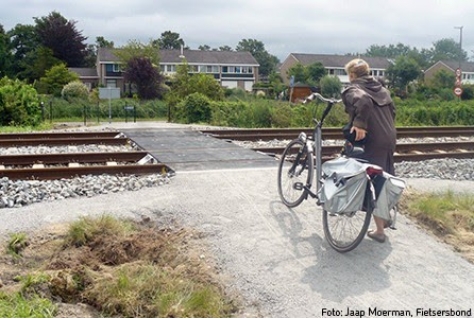 Hekken weg bij overgang overgang Alverna in Heemstede