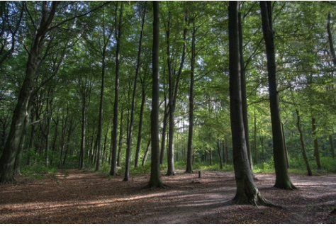 Burgers gaan niet betalen voor natuurbeheer als overheid zich terugtrekt