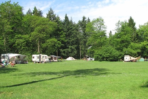 Kennissessies voor natuurcampings