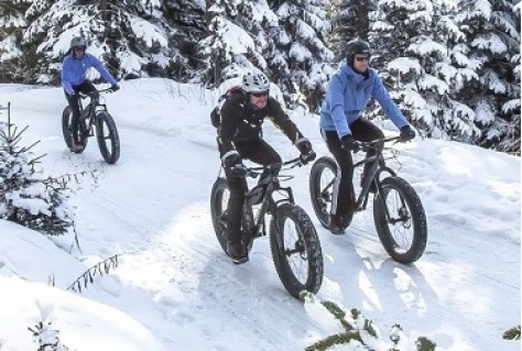 Trend: Zwitserse destinaties omarmen fatbike