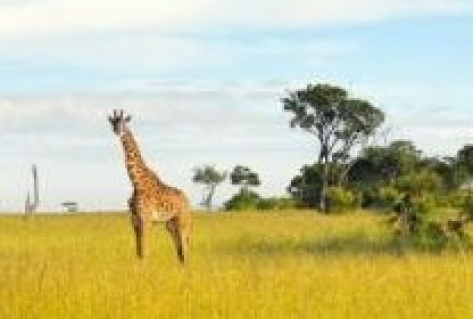 Unieke en duurzame tours in Gems of Kenia Roadshow