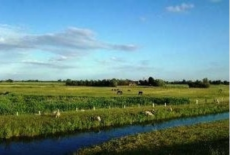 Zorgen om het Nederlandse landschap