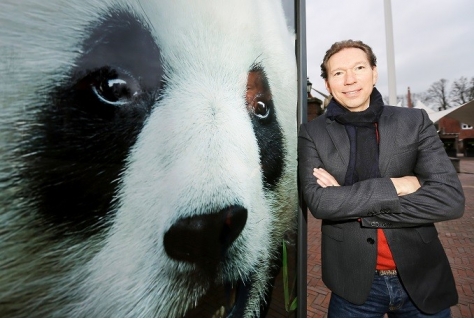 Wanneer komen de reuzenpanda’s naar Ouwehands Dierenpark?