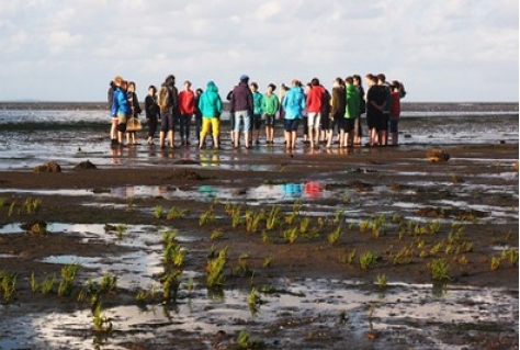 Wadlopen toe aan vernieuwing?