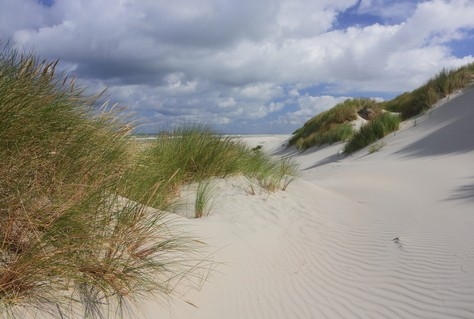 Wordt de kust echt bedreigd?