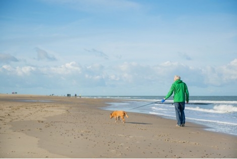 Kust, Gezondheid en Toerisme