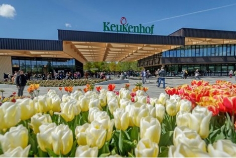 Topjaar voor Keukenhof met 1,4 miljoen bezoekers