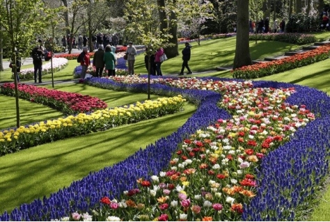 Compleet team Keukenhof naar buitenland?