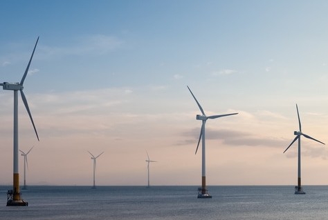 Windparken voor Zuid-Hollandse kust mogelijk zonder subsidie