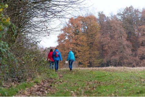 Twee wandelpaden bij Streekmuseum Vredegoed ontwikkeld