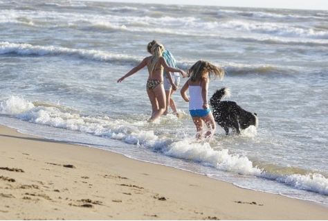 Voorspelling zomer 2017: 3% meer toeristen naar Nederland