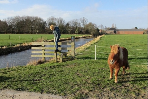 Subsidie beschikbaar voor Boerenlandpaden