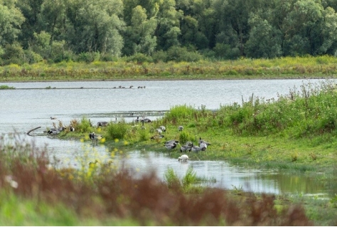 Noorderwold-Eemvallei ontwikkelen natuur en recreatie