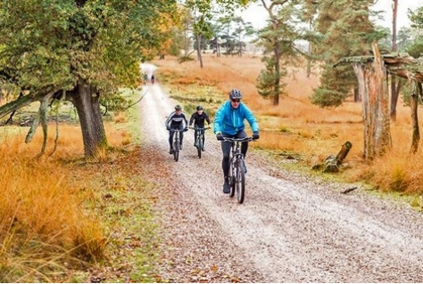 Gelderland en Woensdrecht in de prijzen bij UCI