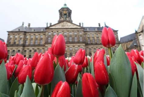 Toeristisch inhaken op Nationale Tulpendag 20 januari 2018?