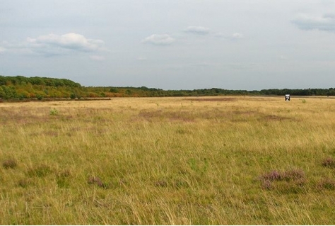 Verschuiving in eigenaarschap en beleving vliegbasis Soesterberg