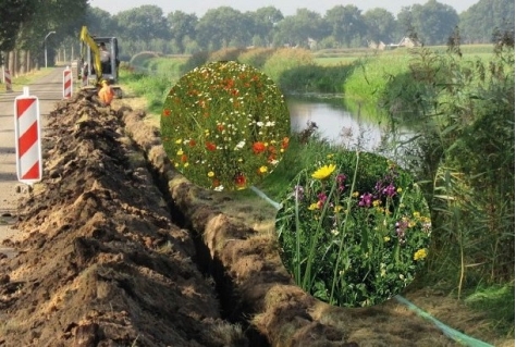 Omdenken in biodiversiteit smaakt naar meer