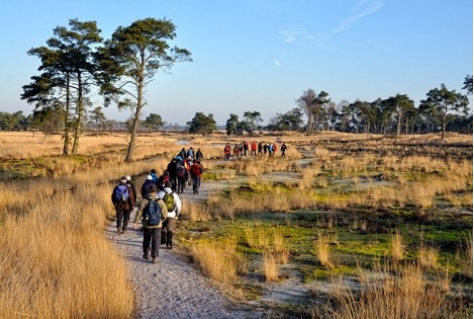 Genomineerden Wandelroute van het Jaar bekend