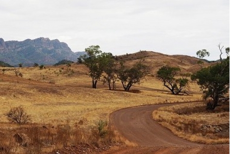 Verre bestemmingen: Australië, Thailand en Zuid-Afrika scoren goed bij Nederlanders