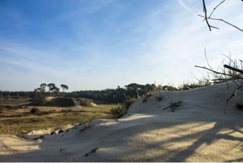 Veluwe voor het eerst in jaren populairste vakantieregio van Nederland