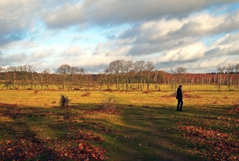 Nog vijf routes op shortlist Wandelroute van het Jaar