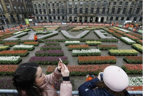 Pluktuin van tulpen maakt publiek klaar voor nieuw tulpenseizoen