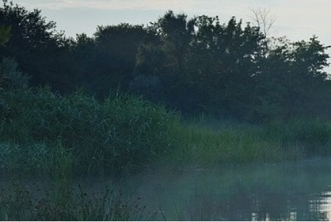 Overzicht natuurontwikkeling Nederrijn