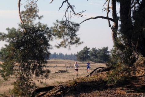 Nationale Park de Hoge Veluwe organiseert eerste GPX-run