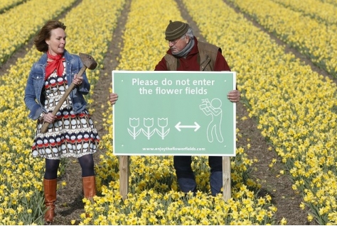 Wel kijken naar de tulpen maar niet in de velden