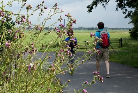 Sterke stijging aantal wandelaars op routenetwerk Noord-Holland in 2017