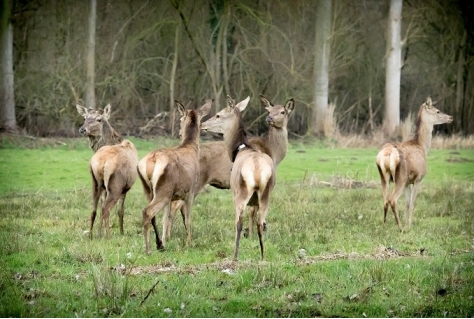 NS-wandeltocht van Boxtel naar Best ontwikkeld