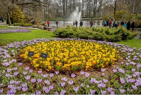 Keukenhof tevreden met 80.000 bezoekers paasweekend