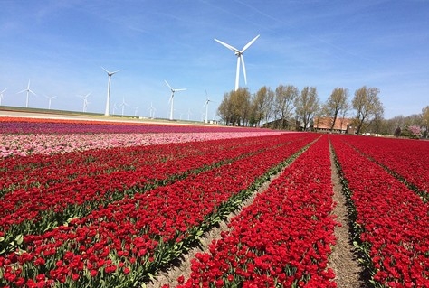 Ook in Flevoland groeit toerisme als kool