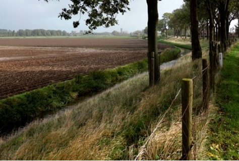 Gebiedscoöperatie gaat natuur en recreatie beheren