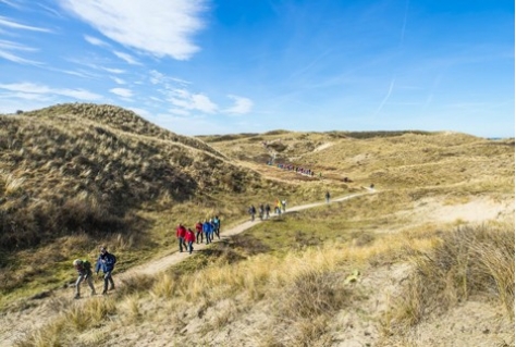 Trend: georganiseerd wandelen groeit als kool