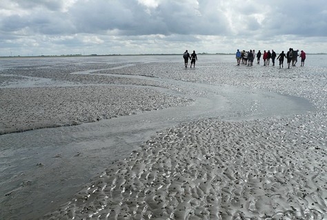 Zes miljoen euro voor marketingplan Werelderfgoed Waddenzee