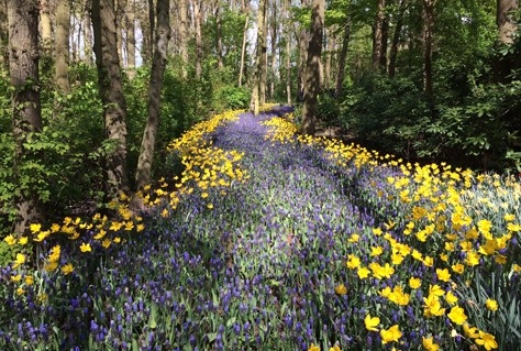 Nieuwe beleefbare natuur in Flevoland