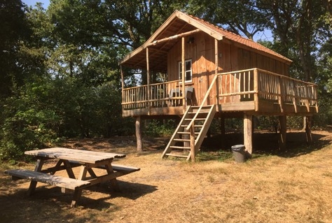 Luxe Boomhut XXL zet Campings in Drenthe op de kaart