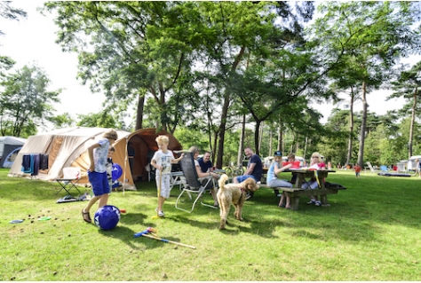 Goede zomer voor toerisme Utrechtse Heuvelrug