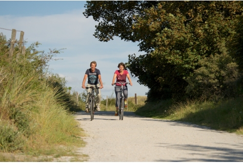 Bijna 8,1 miljoen Nederlanders fietsen voor het plezier 