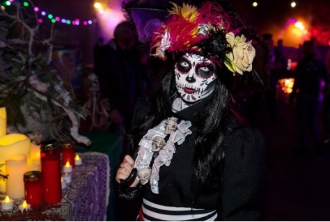 Vernieuwing programmering overdag, vuurwerk en retail bij Hallooween  in Toverland