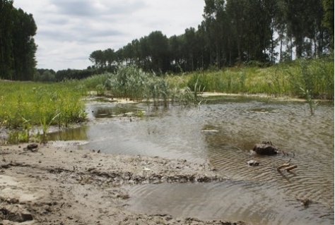 Provincies gaan werken aan digitale natuurkaart