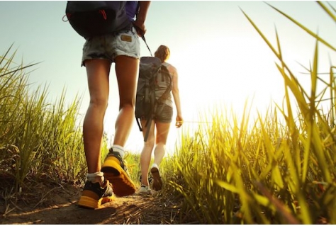 Longlist Wandelroute van het Jaar 2019