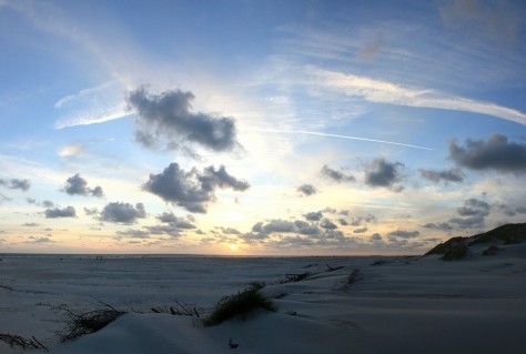 Onderzoekers vragen publiek om hulp bij plastic in kaart brengen in de Waddenzee