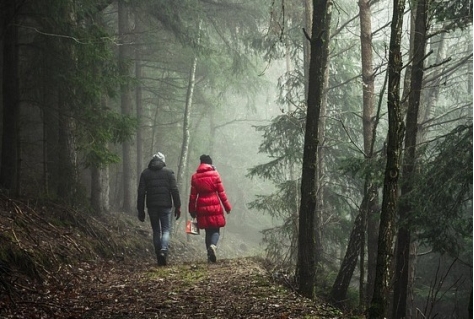 Limes wandelroute verkozen tot wandelroute van 2019