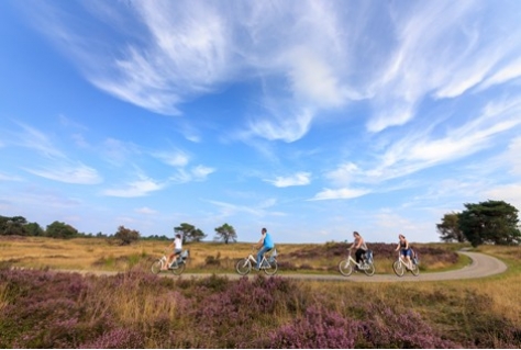 Campagne Gelderse Streken bereikt veel Nederlanders